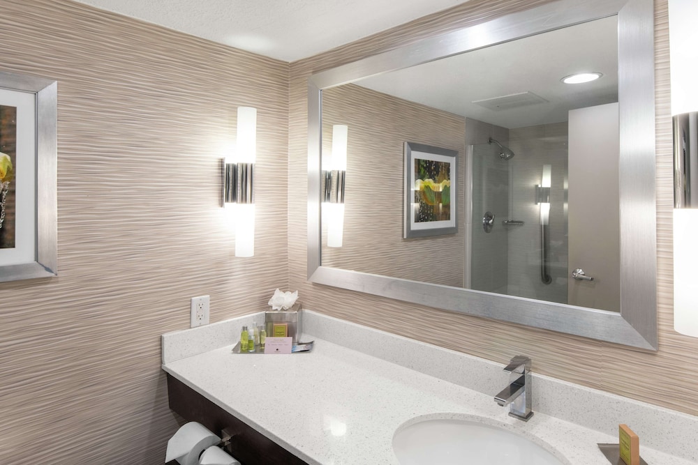 Room, 1 King Bed, Accessible, Hearing Accessible, Roll in Shower - Photo 4