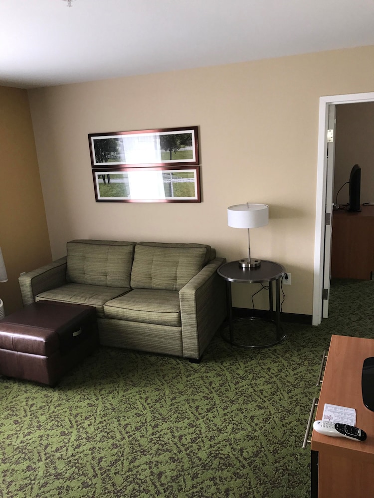 TownePlace Suites by Marriott Lexington South/Hamburg Place, Photo 5