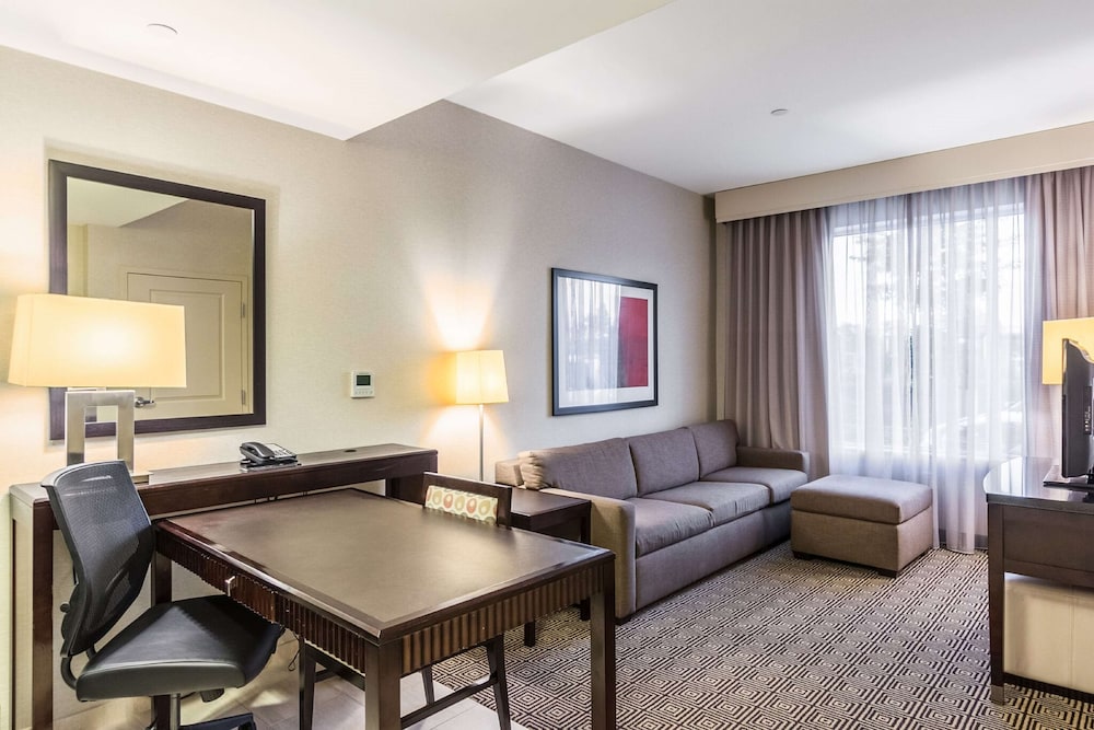 Suite, 1 King Bed, Accessible photo 3
