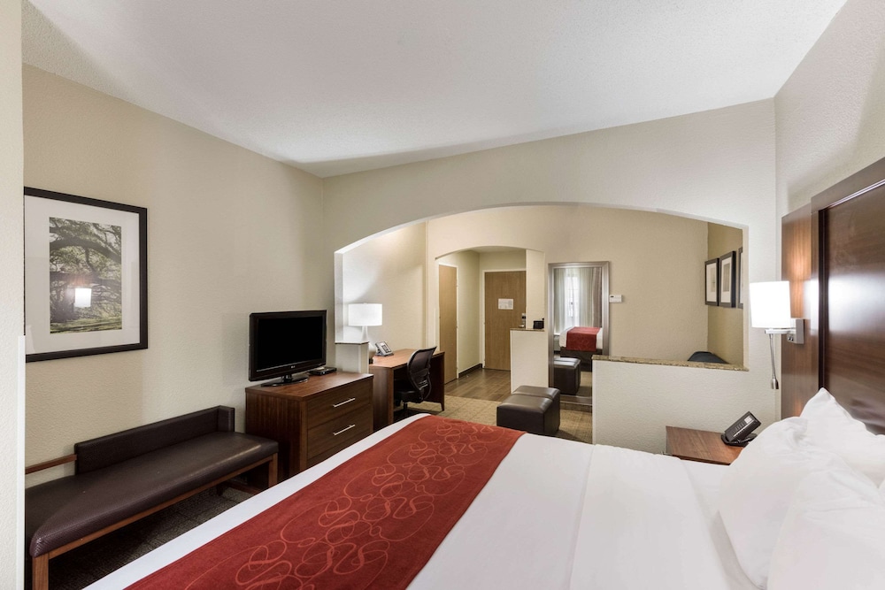 Suite, 1 King Bed, Non Smoking - Photo 4