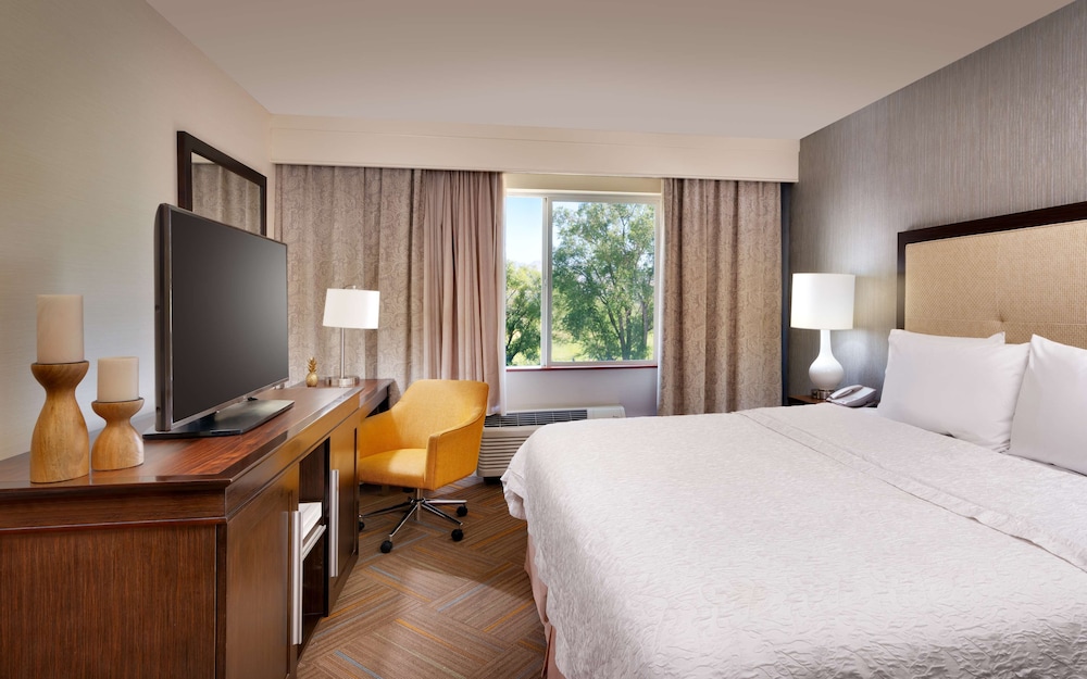 Suite, 1 King Bed, Non Smoking (Shower Only)
