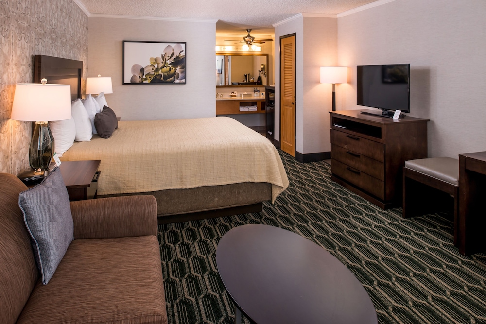 Deluxe Room, 1 King Bed, Non Smoking, Refrigerator & Microwave (with Sofabed) - Photo 2