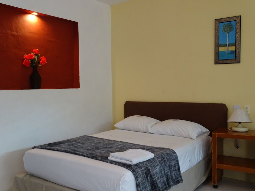 Superior Single Room, 1 Queen Bed photo 3