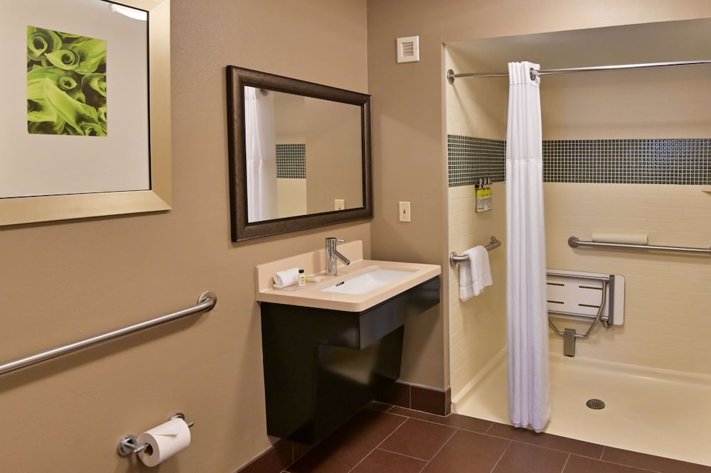 Suite, 1 Queen Bed, Accessible (Mobility Roll in Shower One Bedroom)