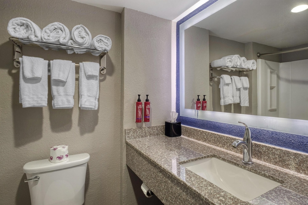 Standard Room, 1 King Bed, Non Smoking, Jetted Tub - Photo 4