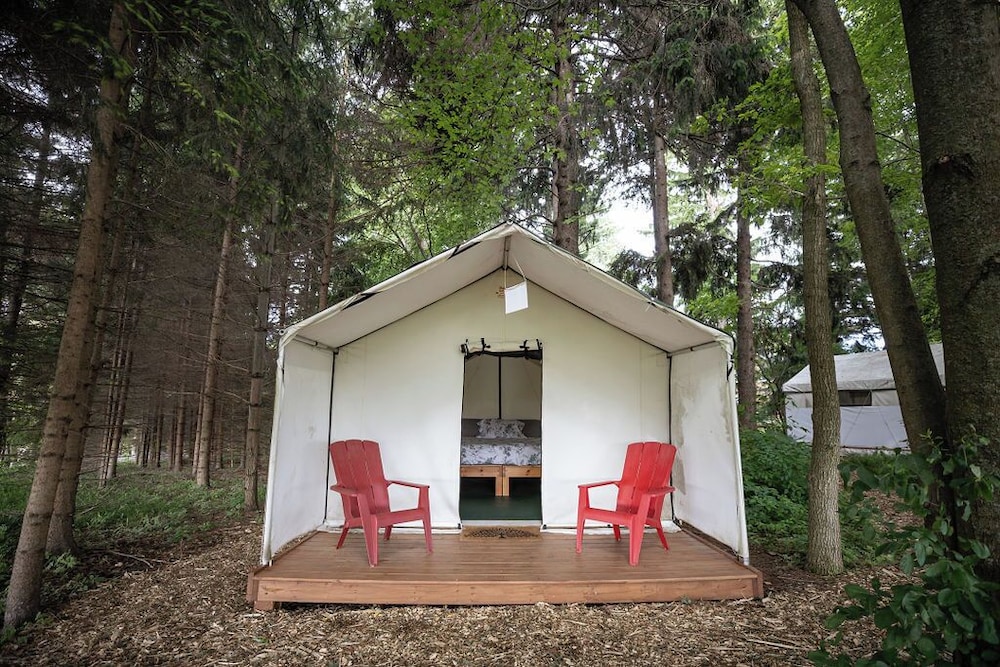 Deluxe Tent, 1 King Bed photo 3