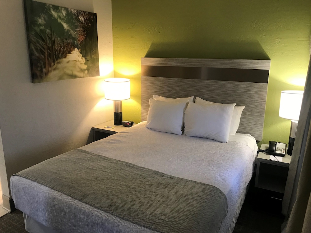 Suite, 1 Queen Bed, Non Smoking, Refrigerator & Microwave (Living Room) - Photo 1