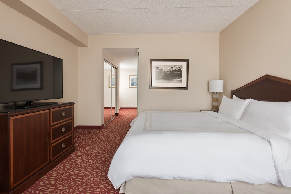 Premium Room, 1 King Bed, Corner - Photo 4