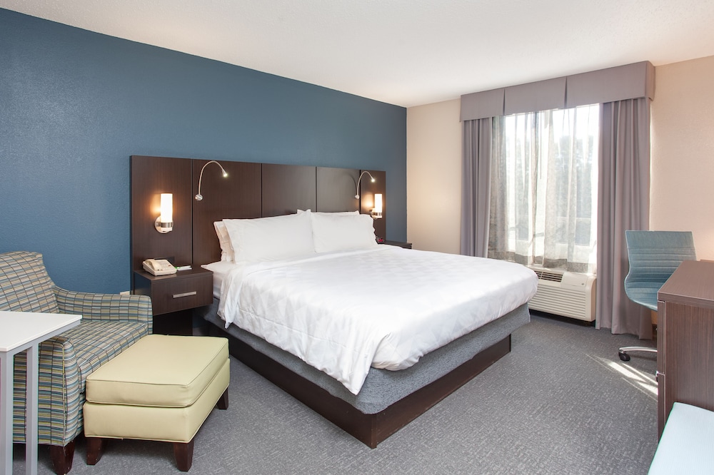 Standard Room, 1 King Bed, Accessible (Comm & Mobil, Accessible Tub) - Photo 3