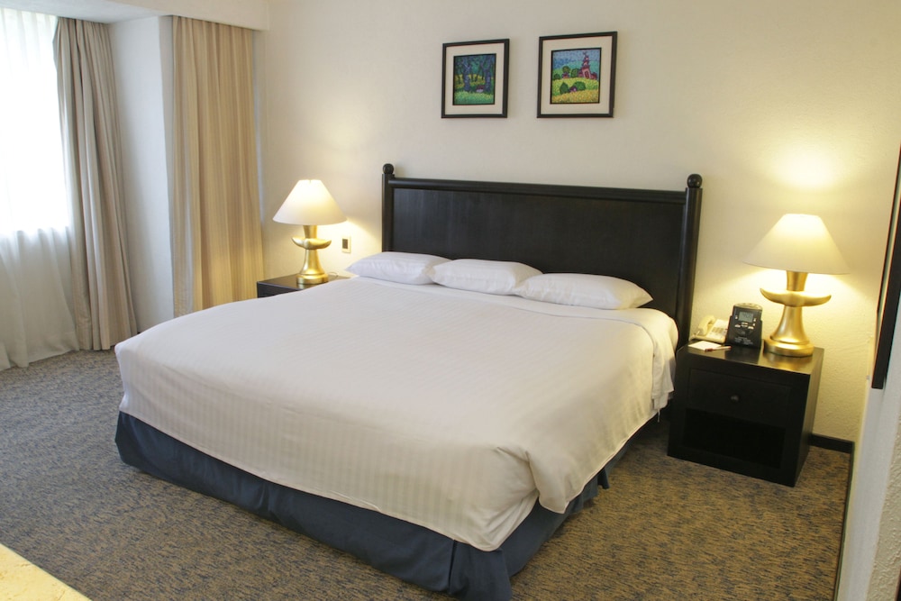 Executive Room, 1 King Bed