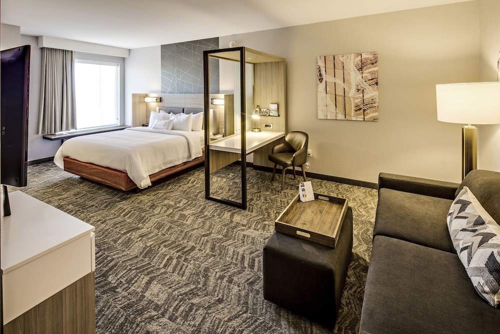 Suite, 1 King Bed with Sofa bed (Hearing Accessible) photo 1