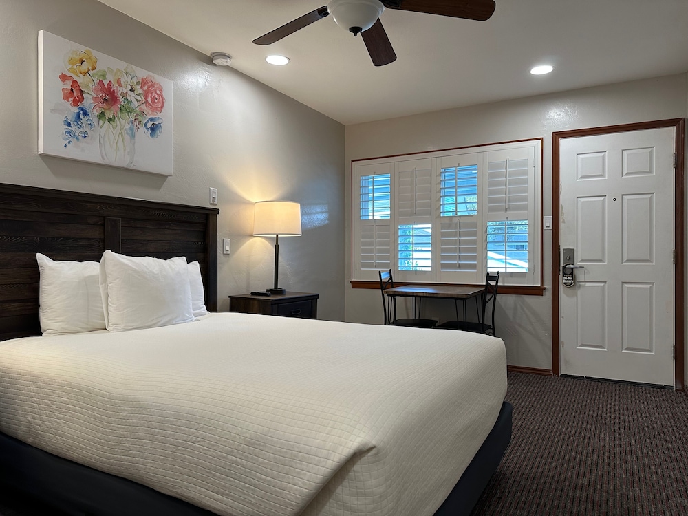 Room, 1 Queen Bed photo 2