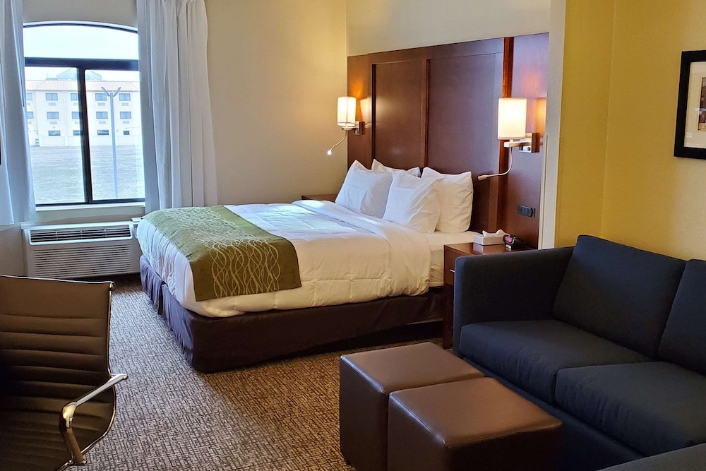 Suite, 1 King Bed with Sofa bed, Non Smoking (Wet Bar) - Photo 1