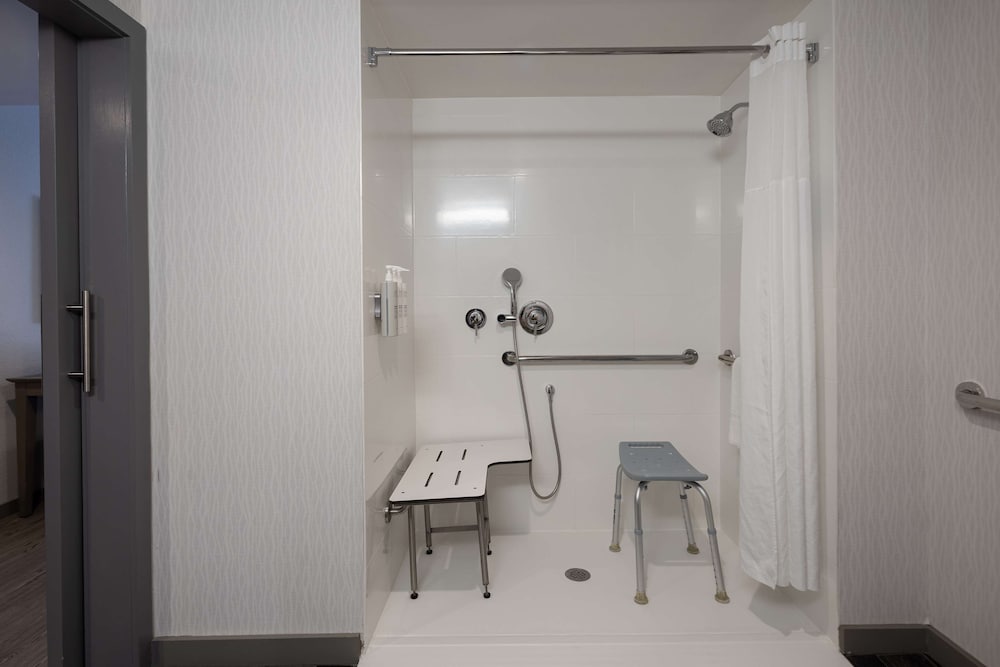 Studio, 1 King Bed, Accessible, Non Smoking (Roll In Shower)