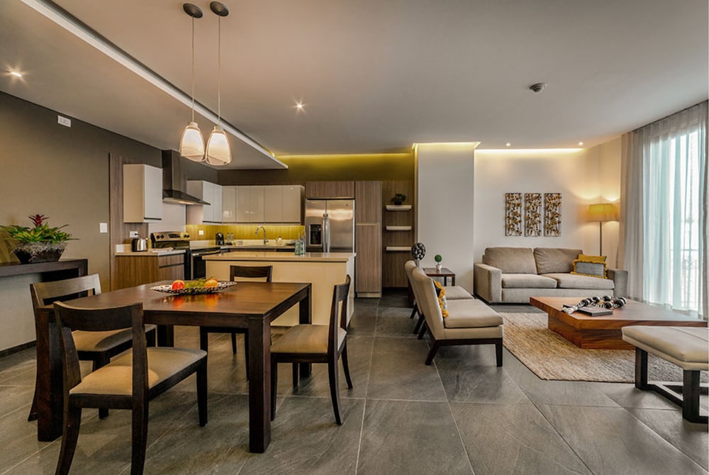 Premium Suite, Kitchen, City View photo 3
