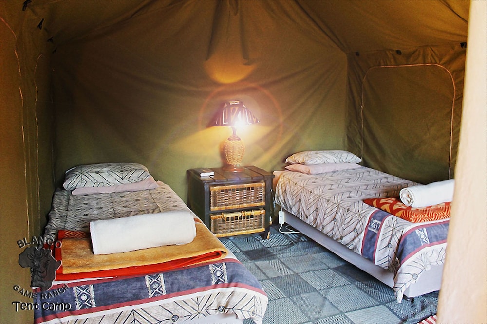 Basic Tent, 2 Twin Beds, Non Smoking photo 1