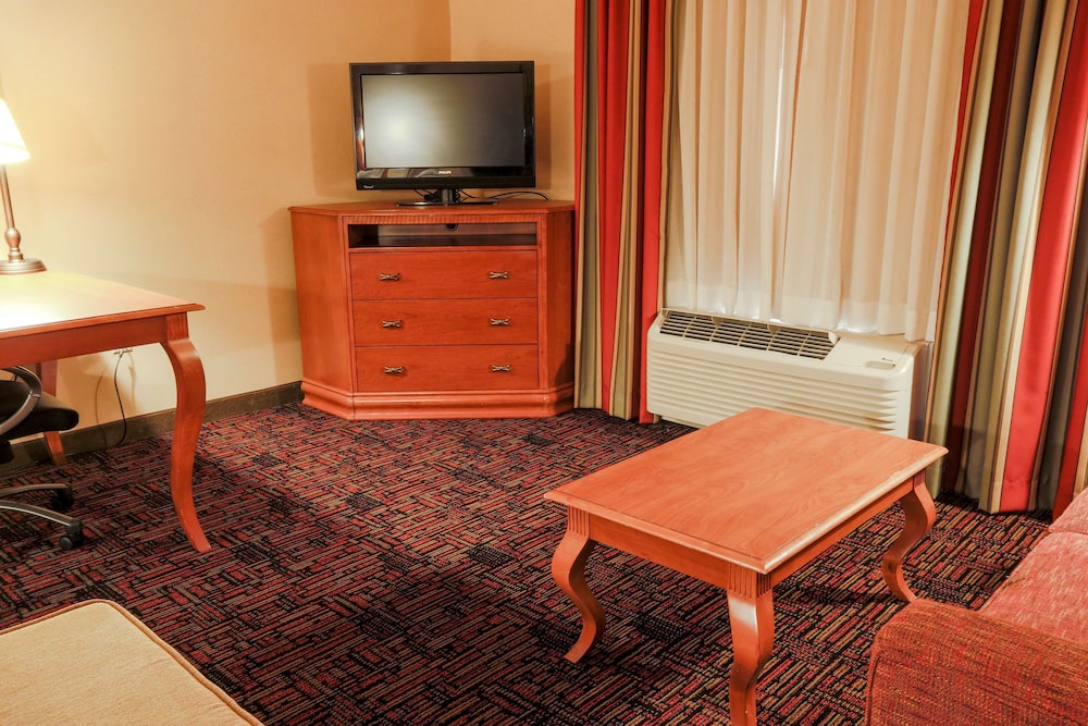 Room, 1 King Bed