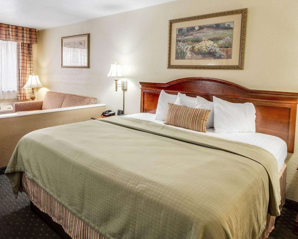 Suite, 1 King Bed with Sofa bed, Non Smoking - Photo 1
