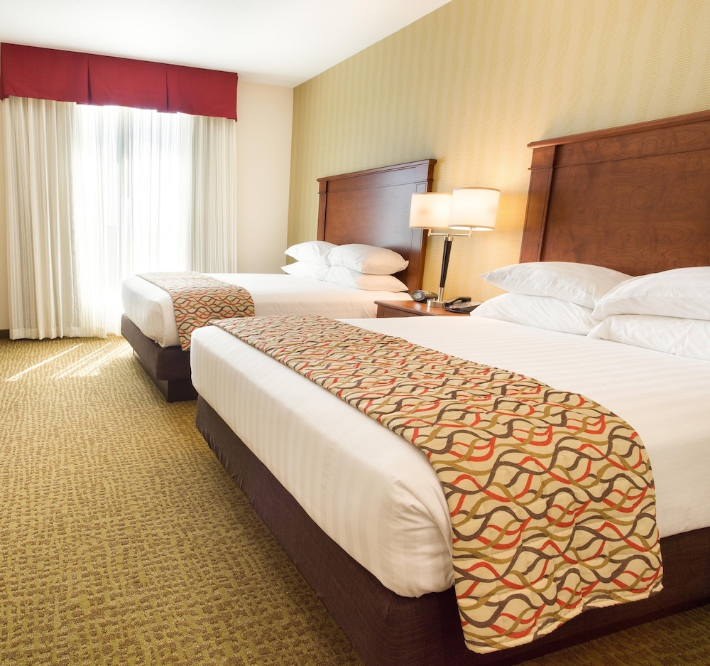 Suite, Multiple Beds, Refrigerator & Microwave (Upper Floor) photo 3