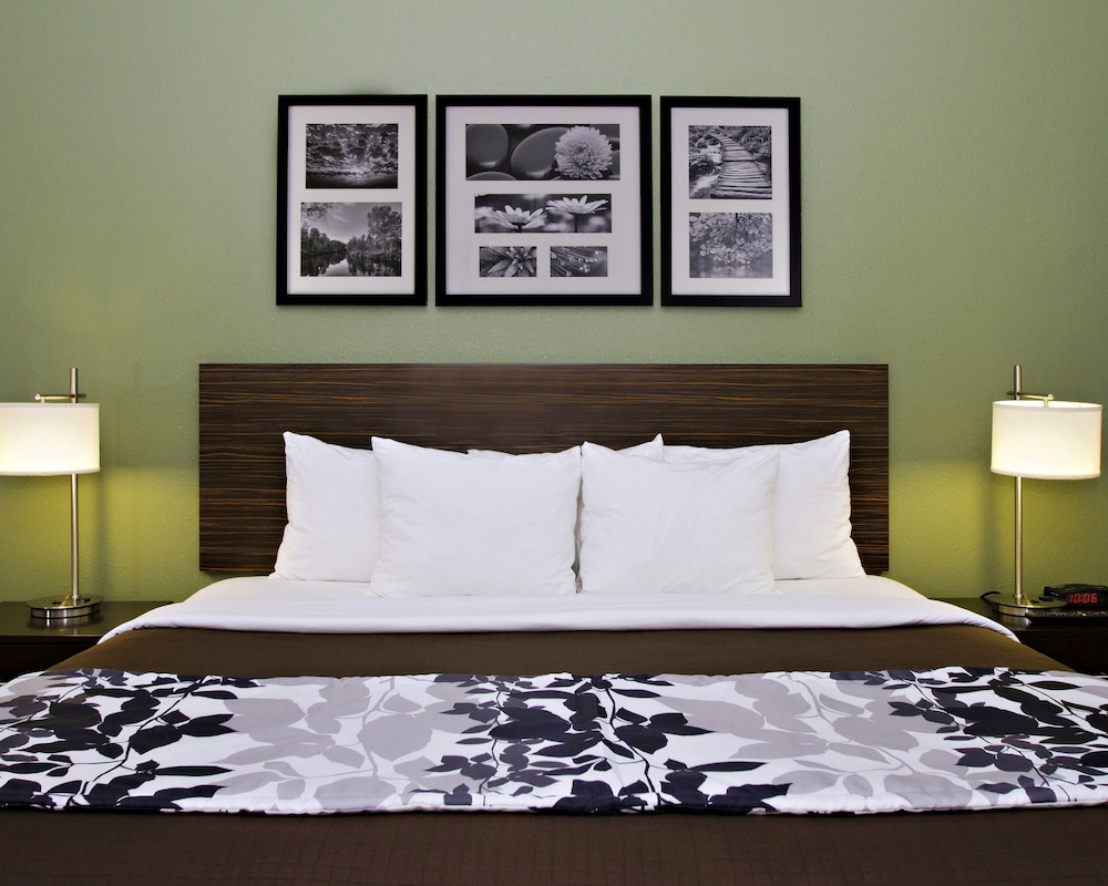 Standard Room, 1 King Bed, Non Smoking photo 2