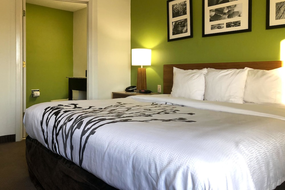 Room, 1 King Bed - Photo 1