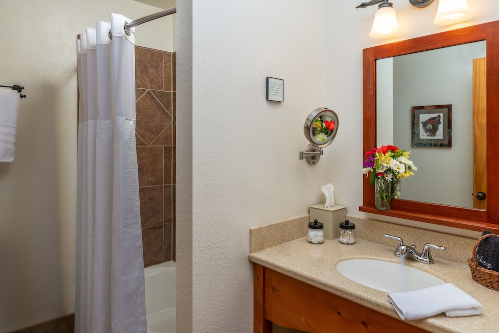 Waterfall Room, Private Bathroom photo 2