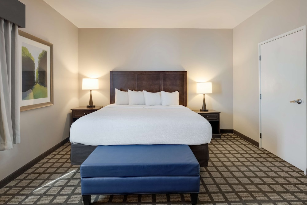 Suite, 1 King Bed, Accessible, Refrigerator & Microwave (with Sofabed)