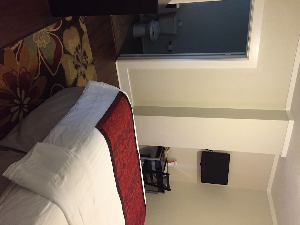 Exclusive Room, 1 King Bed, Refrigerator & Microwave, Courtyard View