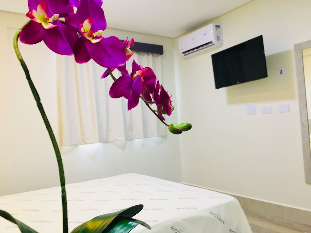 Double Room Single Use, 1 Queen Bed photo 1