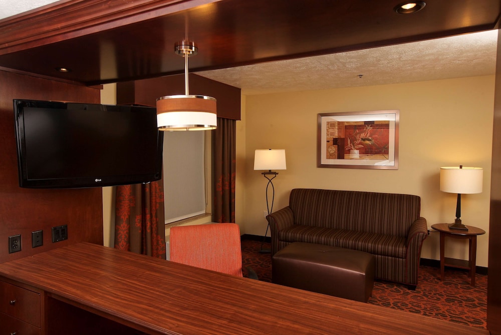 Studio Suite, 1 King Bed with Sofa bed, Accessible, Non Smoking (Bathtub) - Photo 3