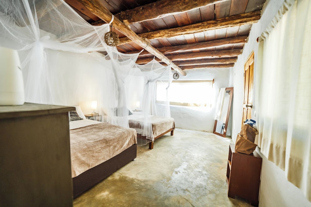 Economy Cabin