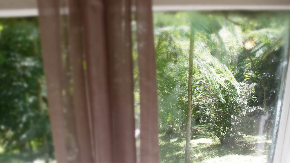Otaheiti Suite photo 3