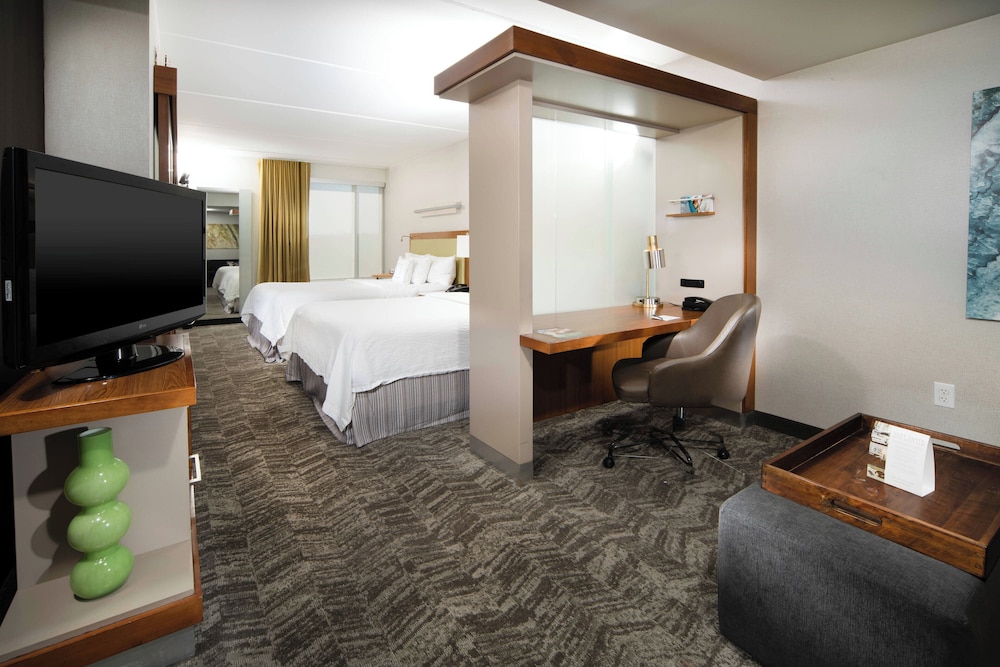 Studio, Multiple Beds - Photo 1