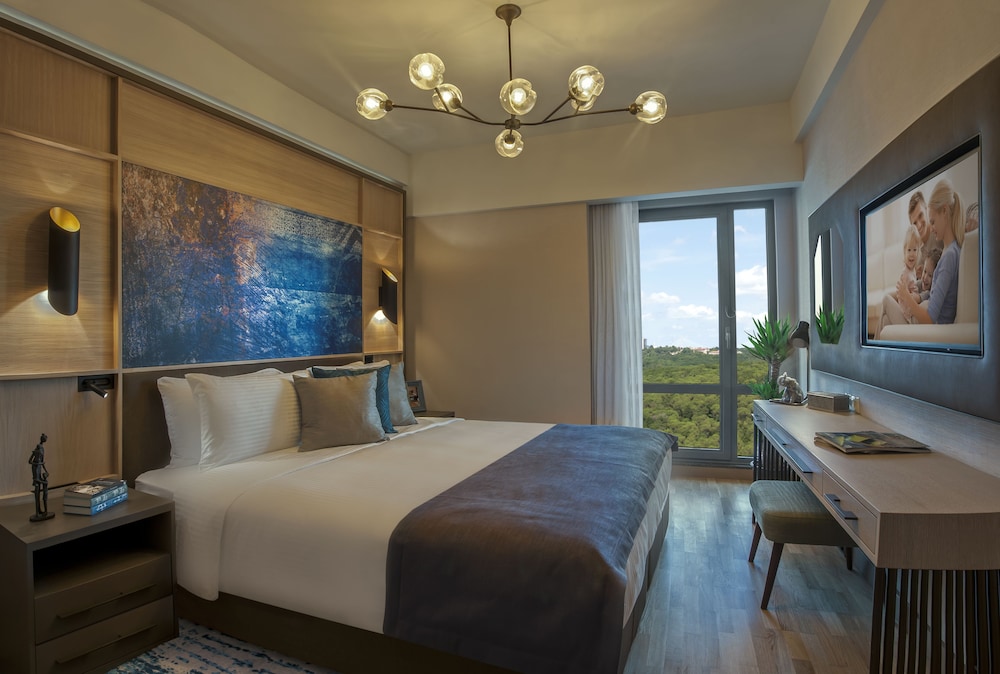 Premier Room, 1 Bedroom photo 1