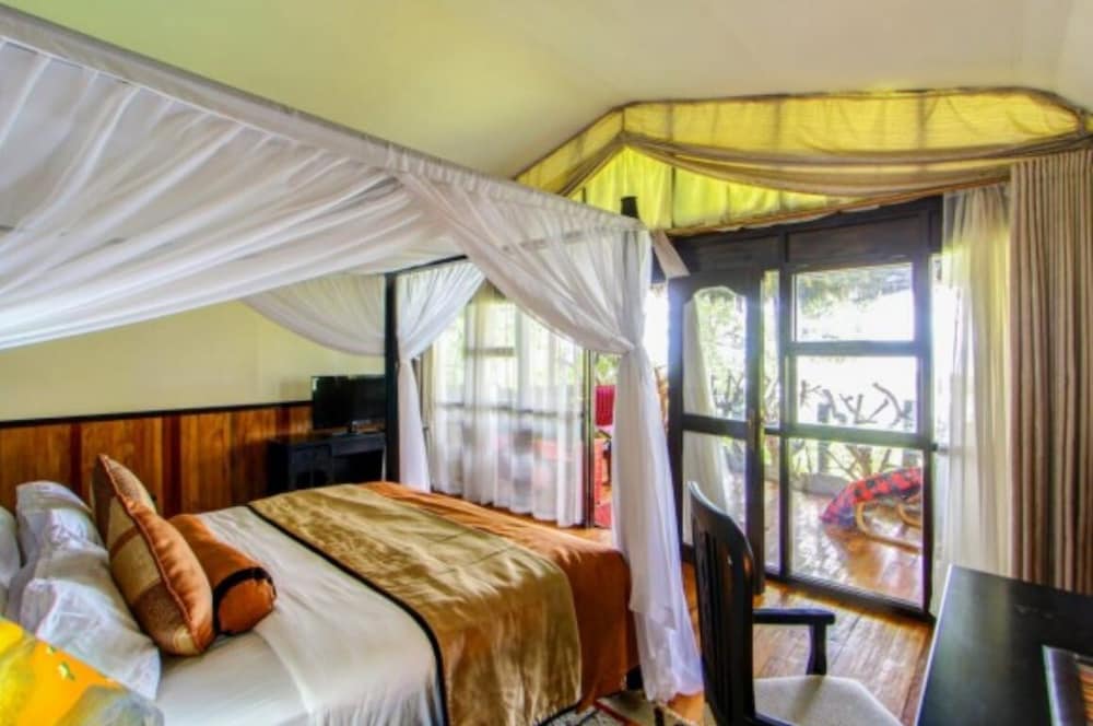 Executive Suite (Rock) photo 1