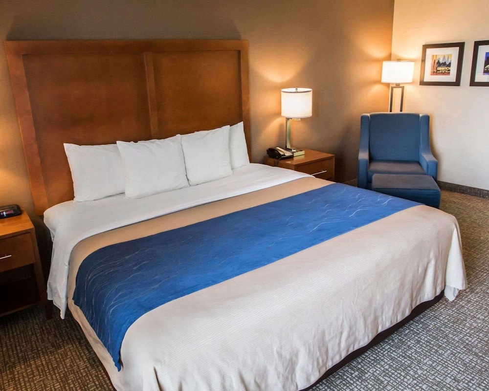Standard Room, 1 King Bed, Accessible, Non Smoking (Accessible Bathtub) - Photo 4