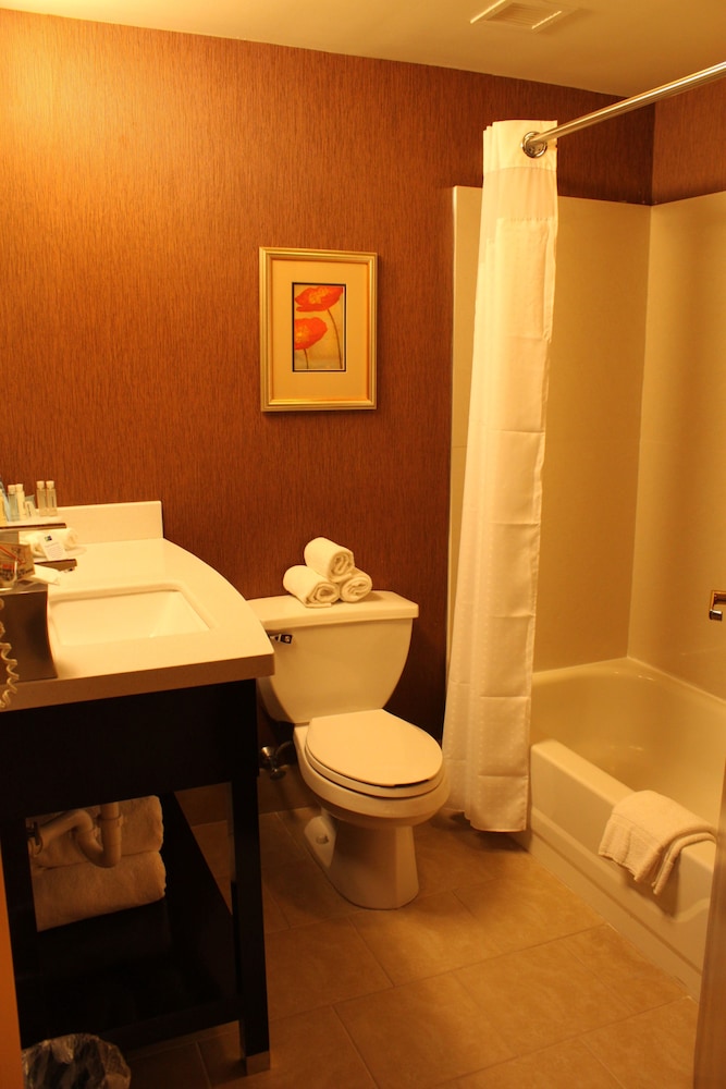 Suite, 1 King Bed, Jetted Tub - Photo 10
