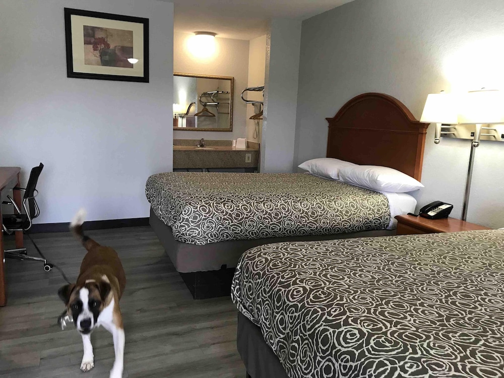 Basic Double Room, 2 Double Beds, Non Smoking photo 3