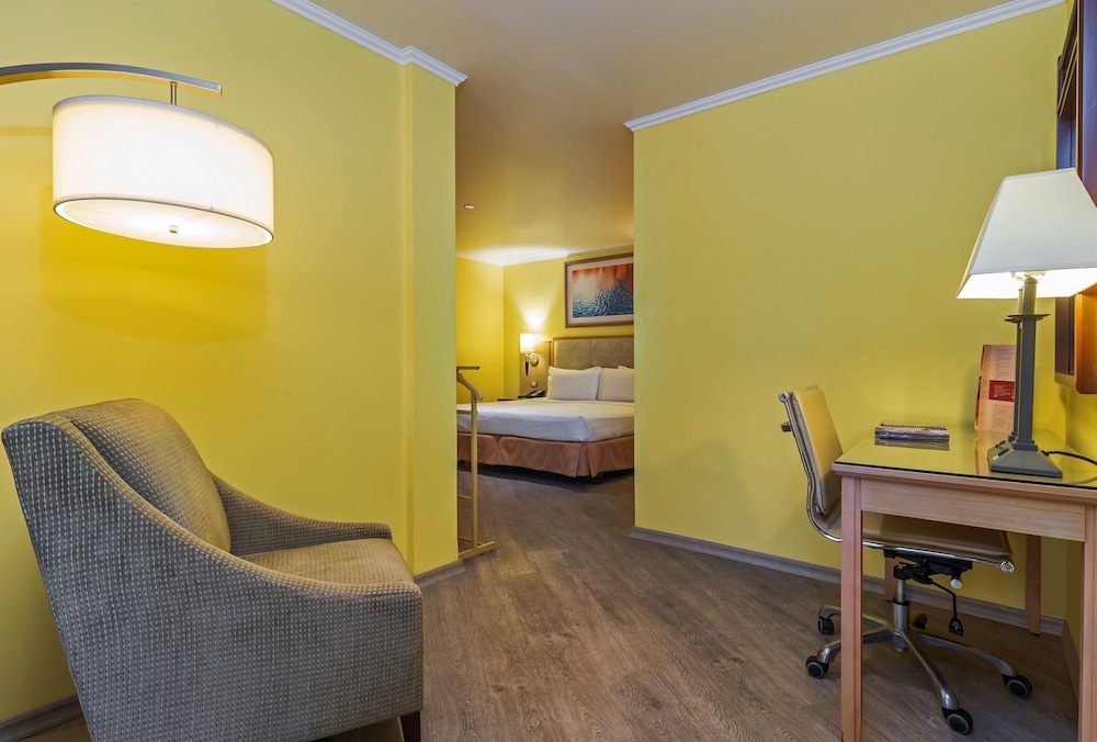 Standard Suite, 1 King Bed, Non Smoking - Photo 16