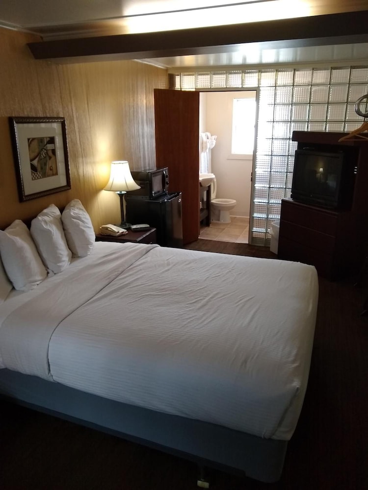 Business Single Room, 1 King Bed photo 1