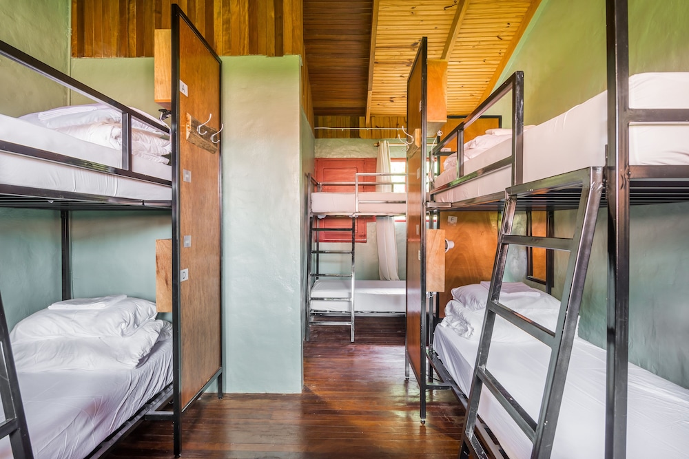 Bed In 6-Bed Dormitory Room