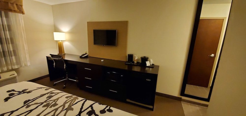 Suite, 1 King Bed with Sofa bed, Non Smoking photo 3