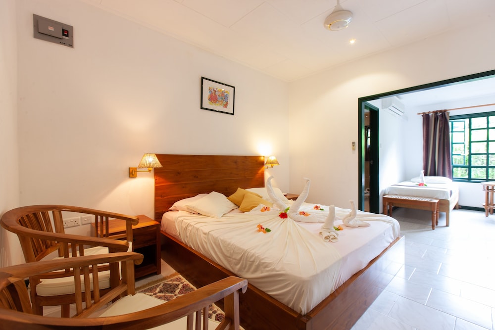 Triple Room photo 1
