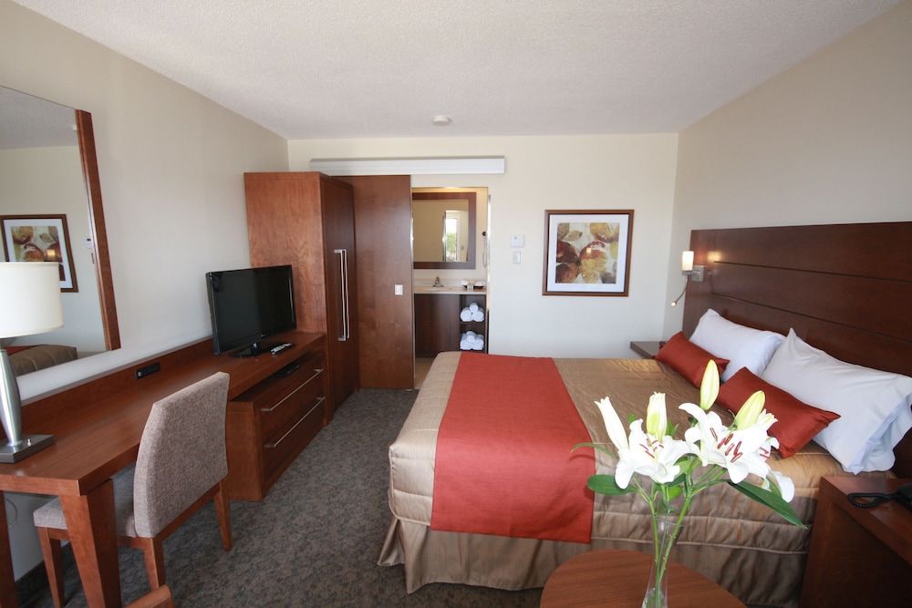 Superior Suite, 1 Queen Bed, Jetted Tub photo 2