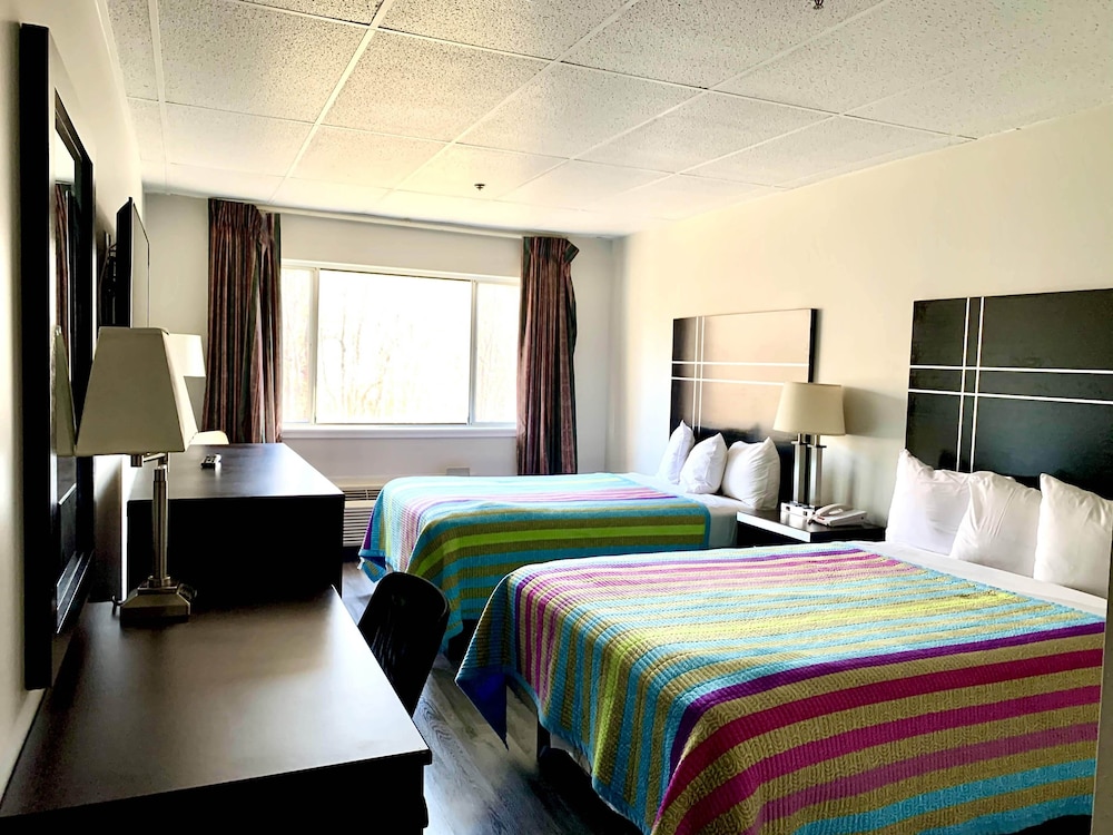 Standard Double Room Single Use, 2 Double Beds photo 2