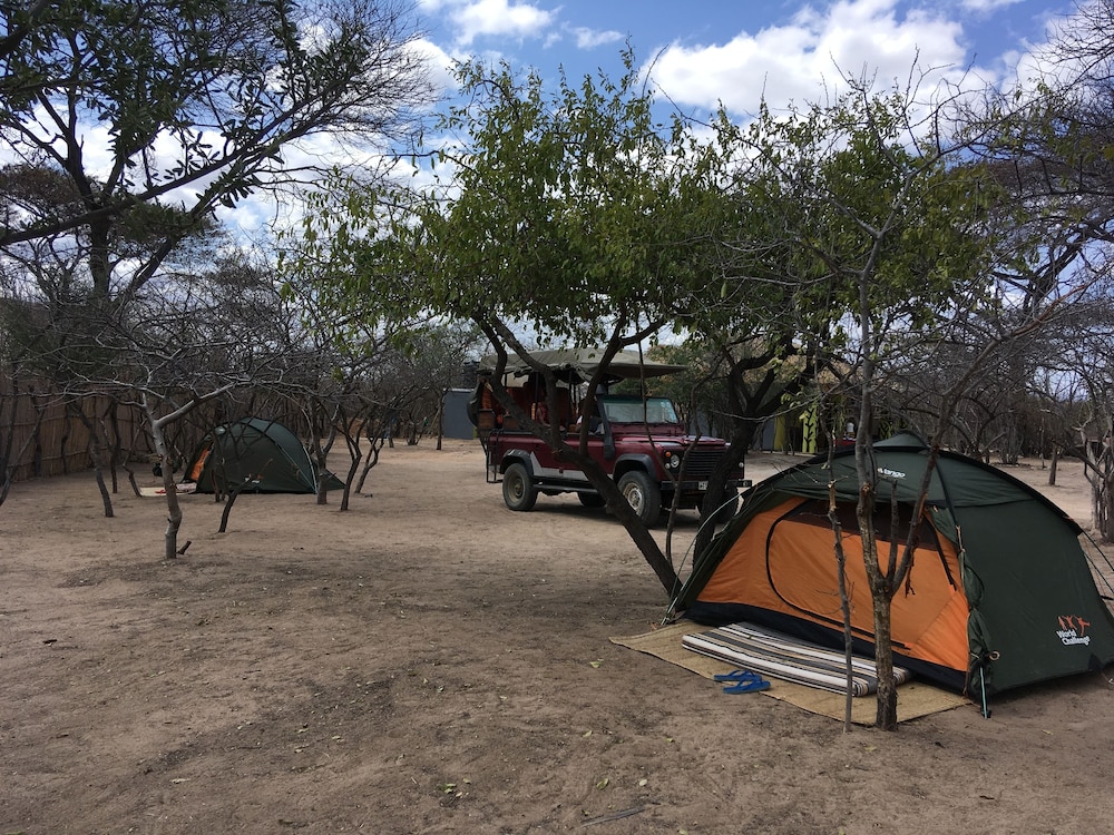 Basic Tent (1 Bed)