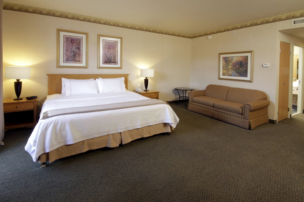 Suite, 1 King Bed (Living) - Photo 1