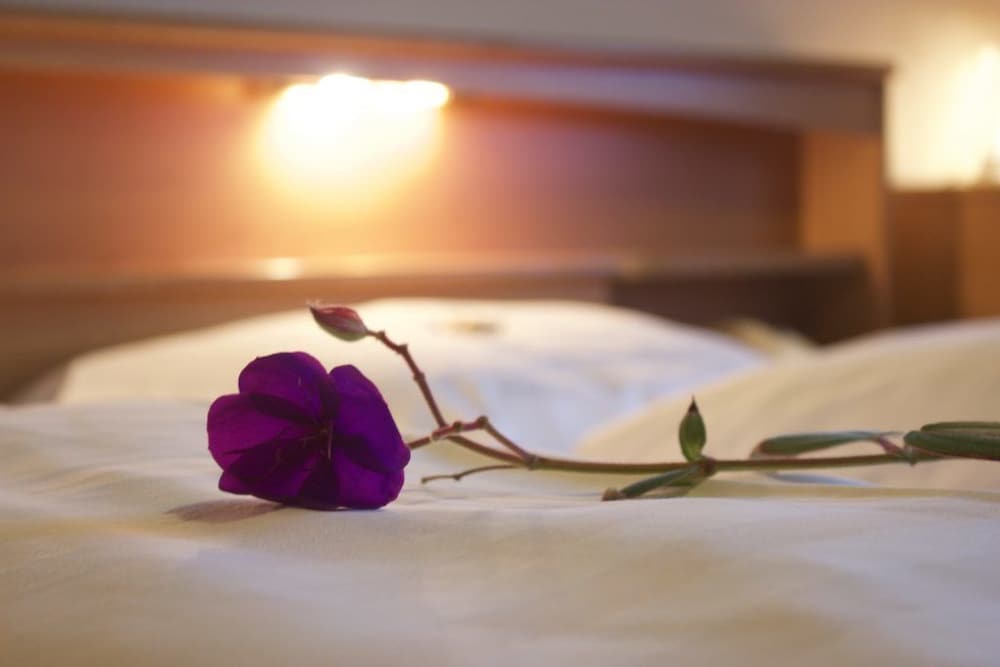 Double Room, 1 Double Bed photo 3