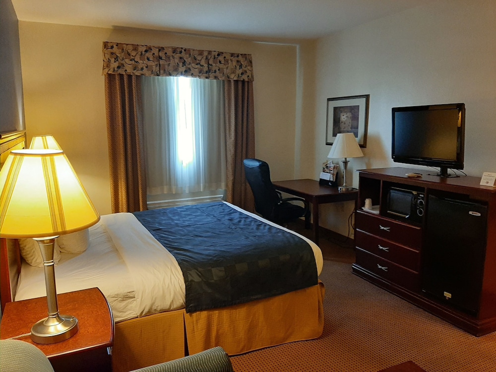 Comfort Single Room photo 2