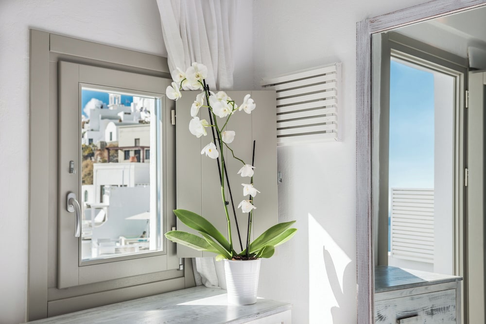Standard Room (Caldera View) - Photo 4